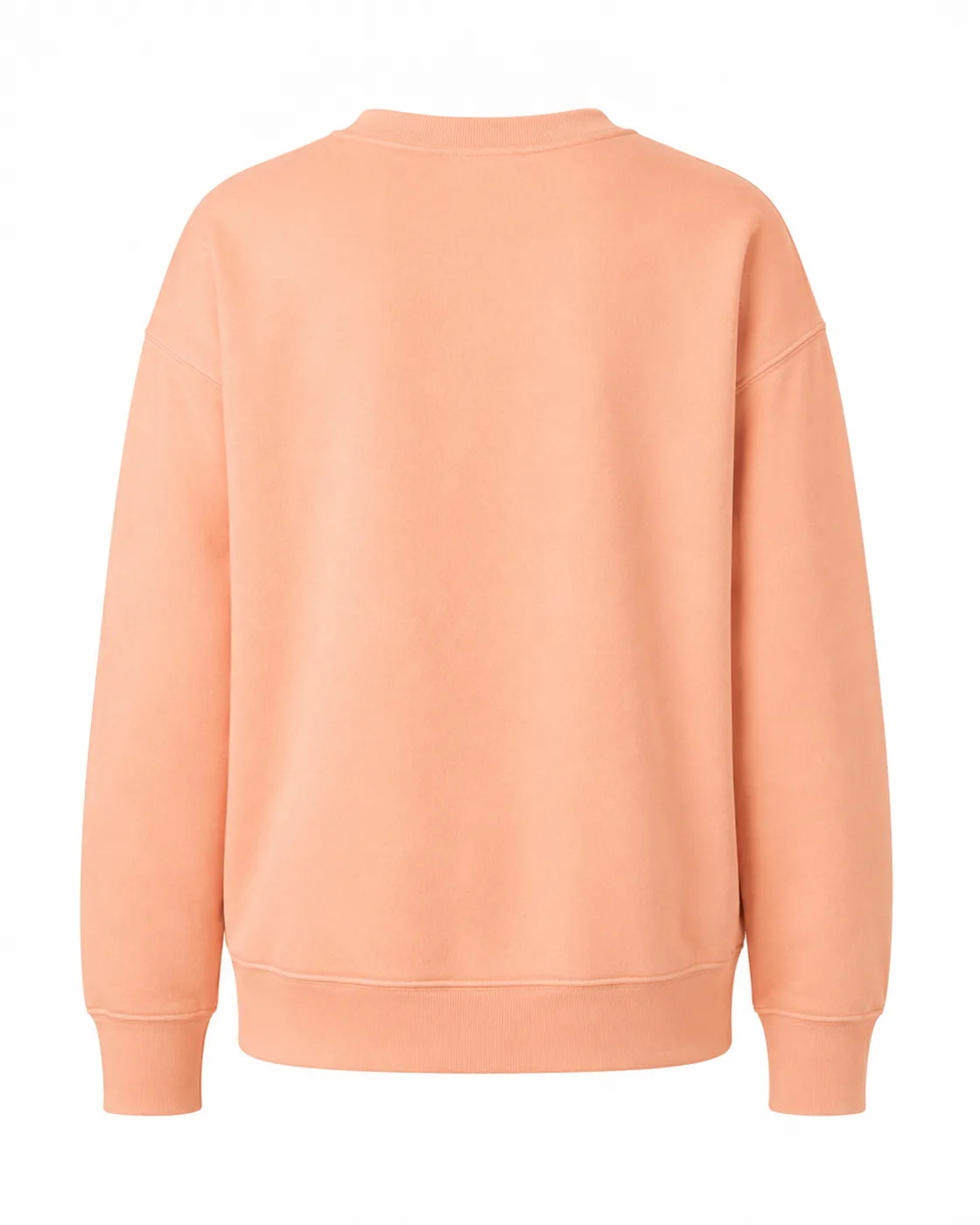 The Kindred crewneck in Peach from the back, printed with a companion profile plate
